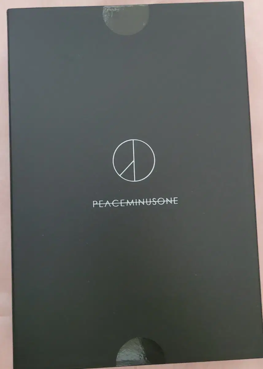 빅뱅 지디 피스마이너스원 peaceminusone 이어폰 실버에디션