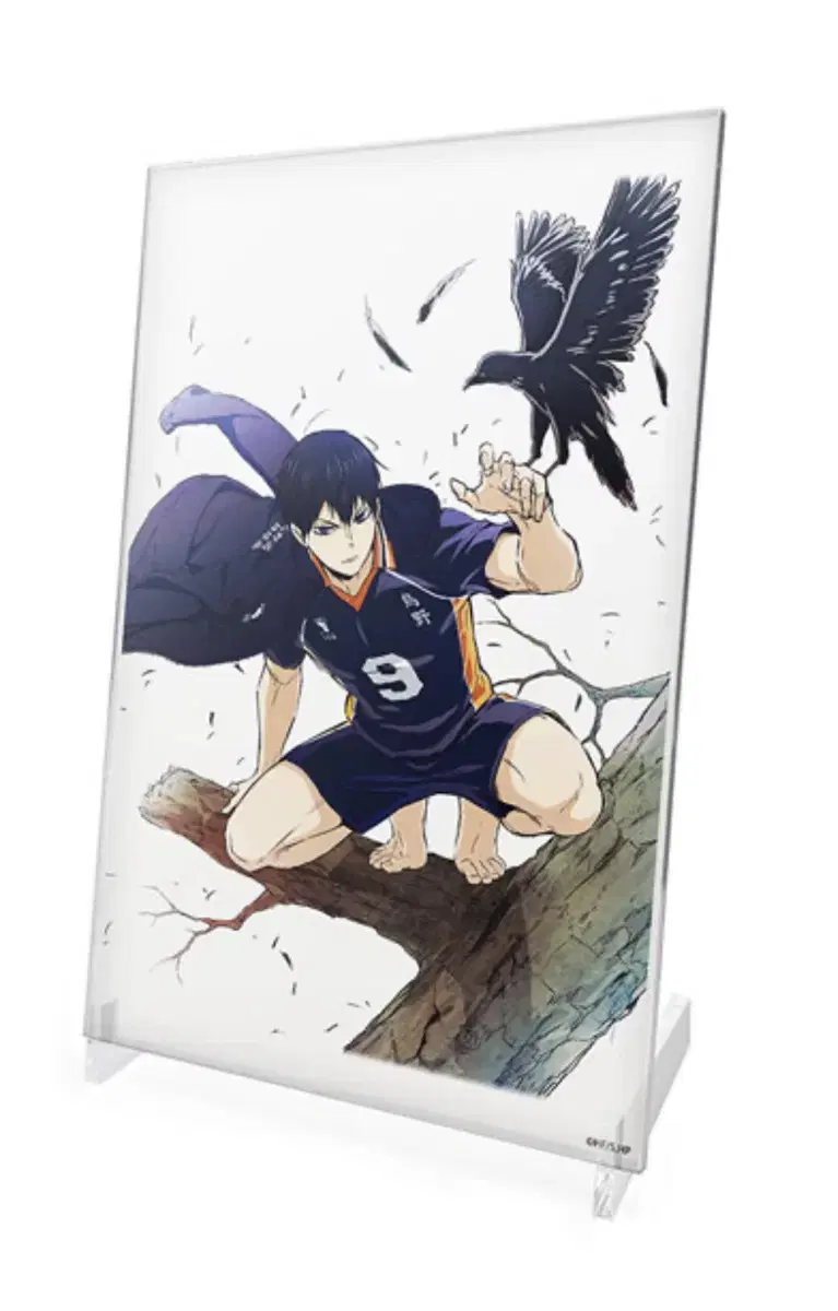 Unsealed) haikyuu Kageyama Tobiosuna Rintaro barefoot acrylic sells