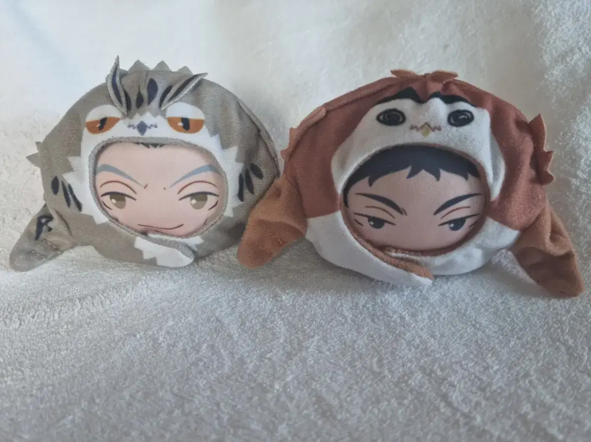 Haikyuu Anizukin Bokuto Akaashi Manju Fukurodani Mascot Owl Owl Owl