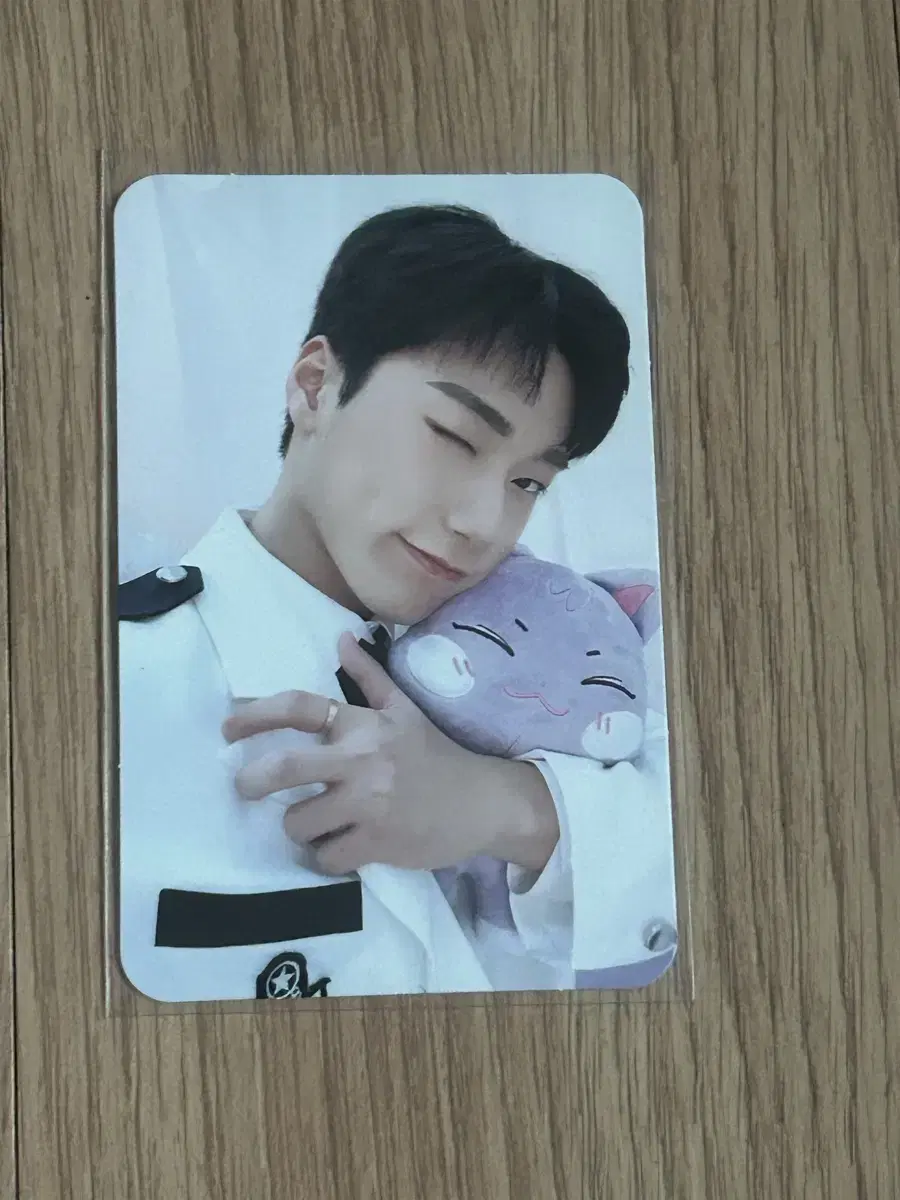 Anitize doll photocard WTS