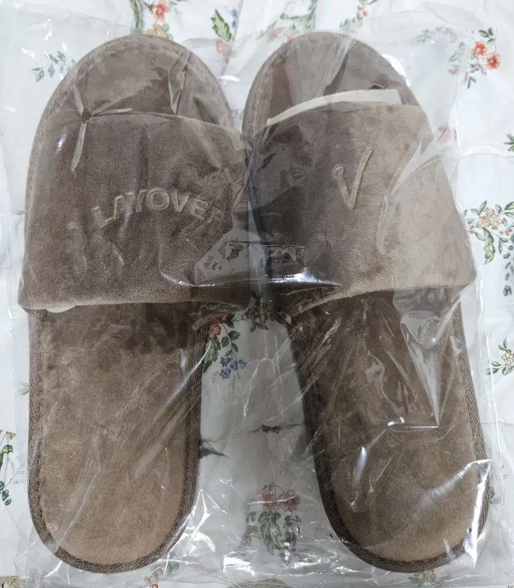 BTS v V merch room shoes only!