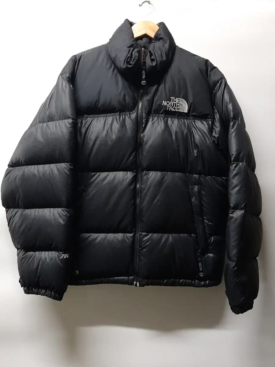 (M) The North Face Mijoo Edition Nopsi 700 (Mint) Glossy Black