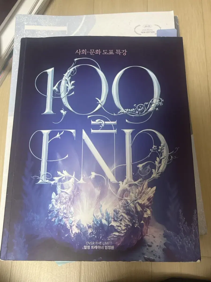 임정환 100END