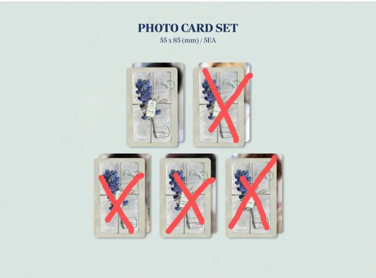 Oneus 2025 Seasonal Greening seoho I sell only photocards in bulk.