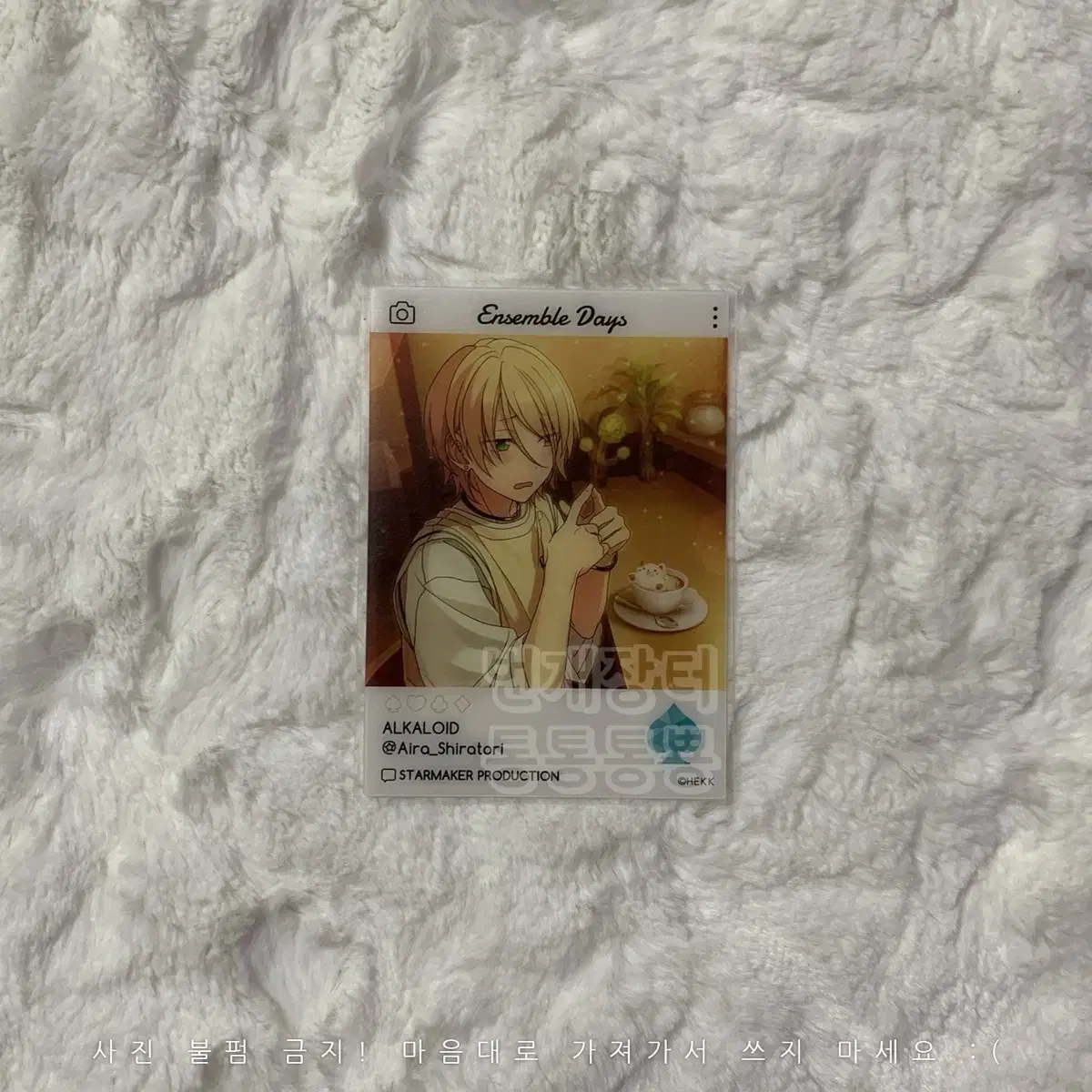 Angsta Emoka 2nd Edition Shiratori Aira Alkaloids!! clear kard kard