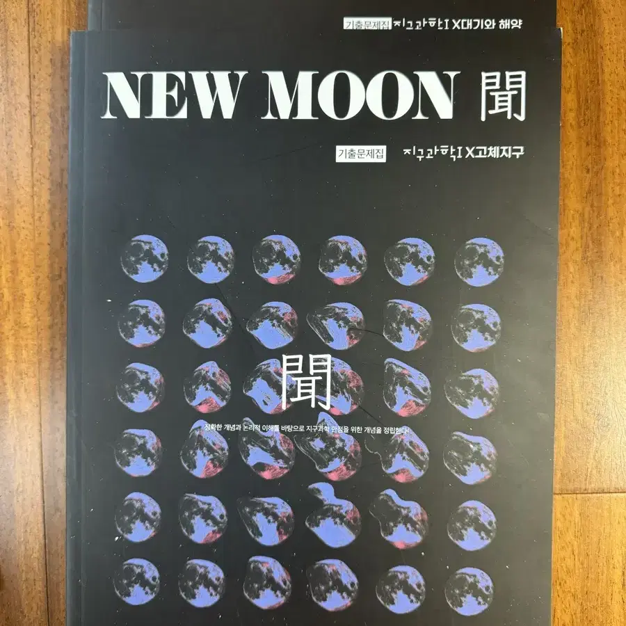 2025 시대인재 최정은T 기출문제집 NEW MOON