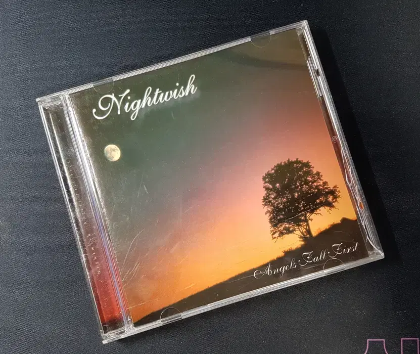 Nightwish - Angels Fall First 씨디