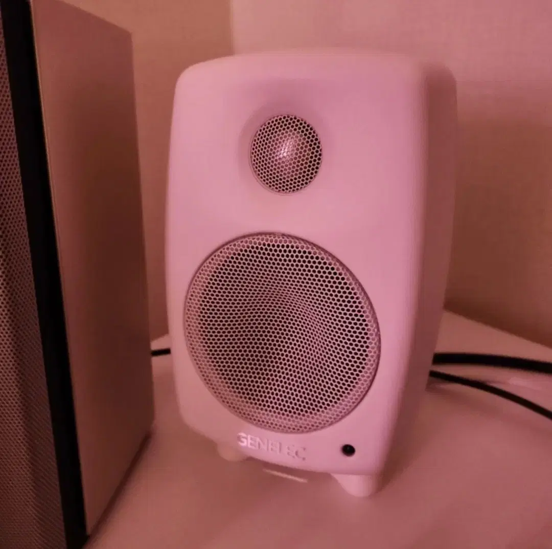 제네렉 Genelec 8010AW 미니 스피커 (거의 새것 / 2통)