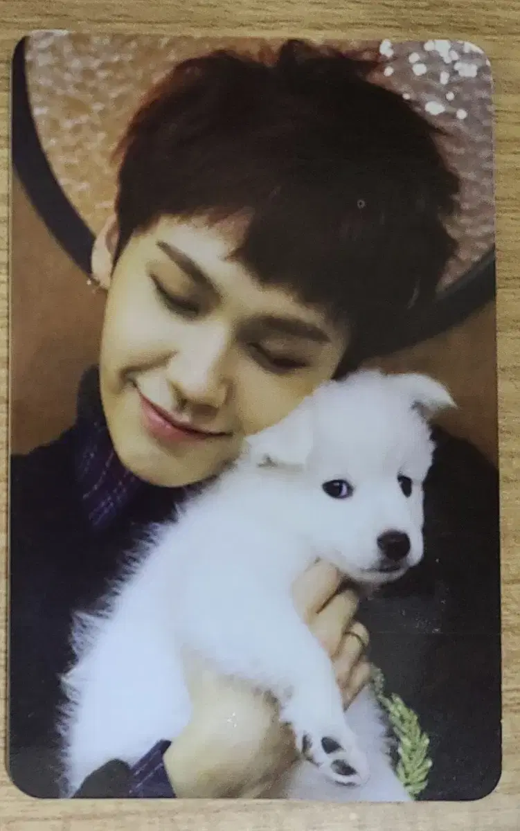 Jung Ilhoon You shouldn't cry, photocard.