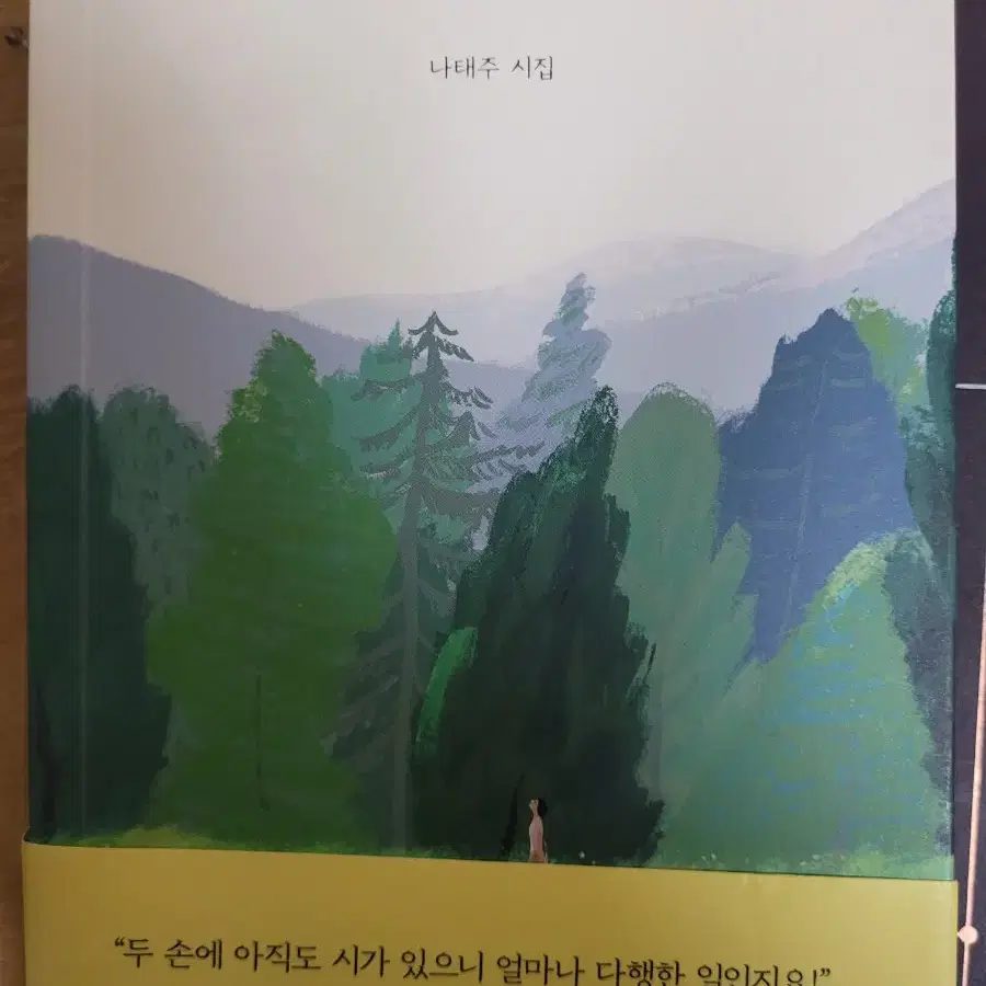 너무 잘하려고 애쓰지마라(나태주 시집) 도서