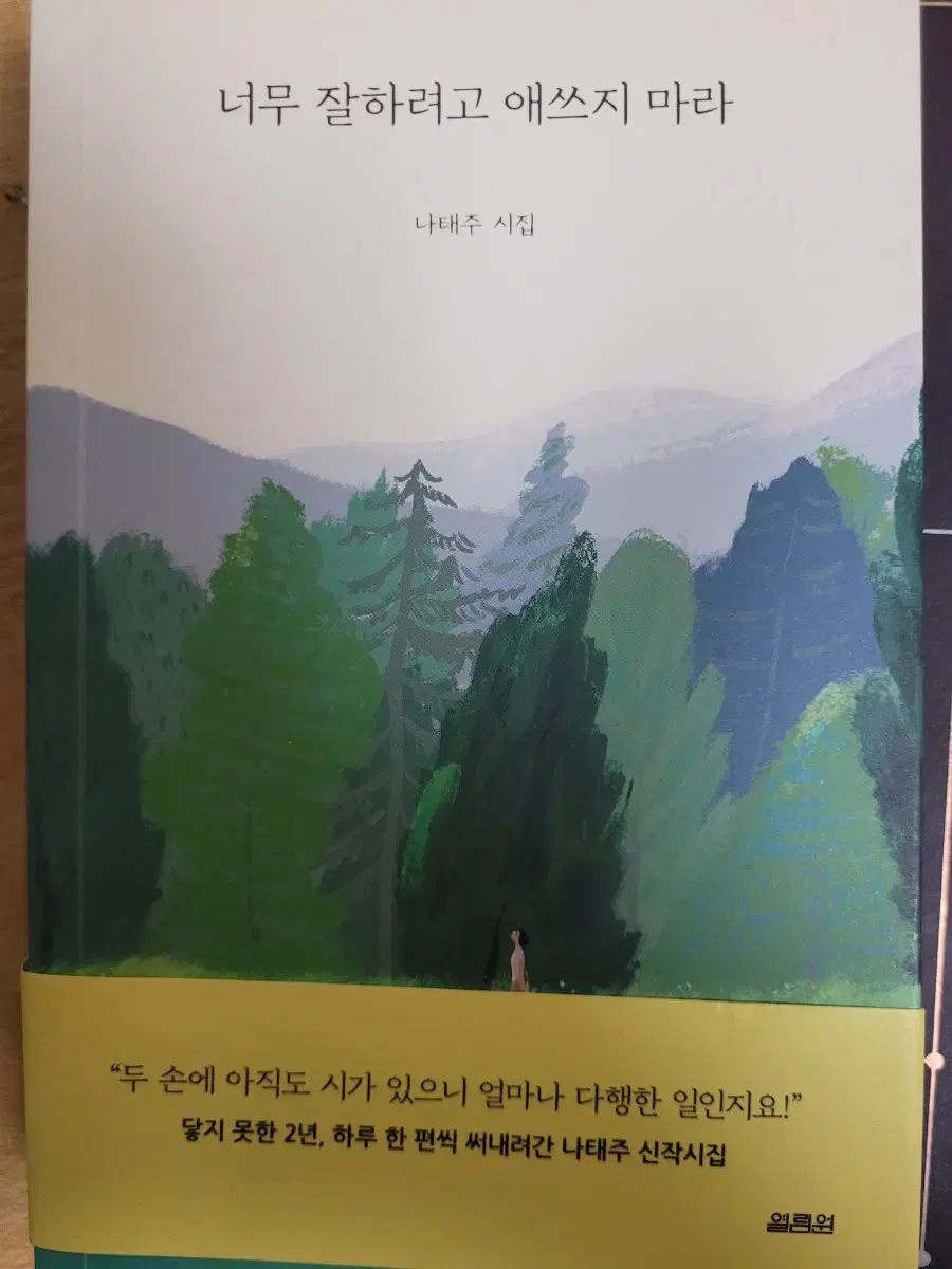 너무 잘하려고 애쓰지마라(나태주 시집) 도서