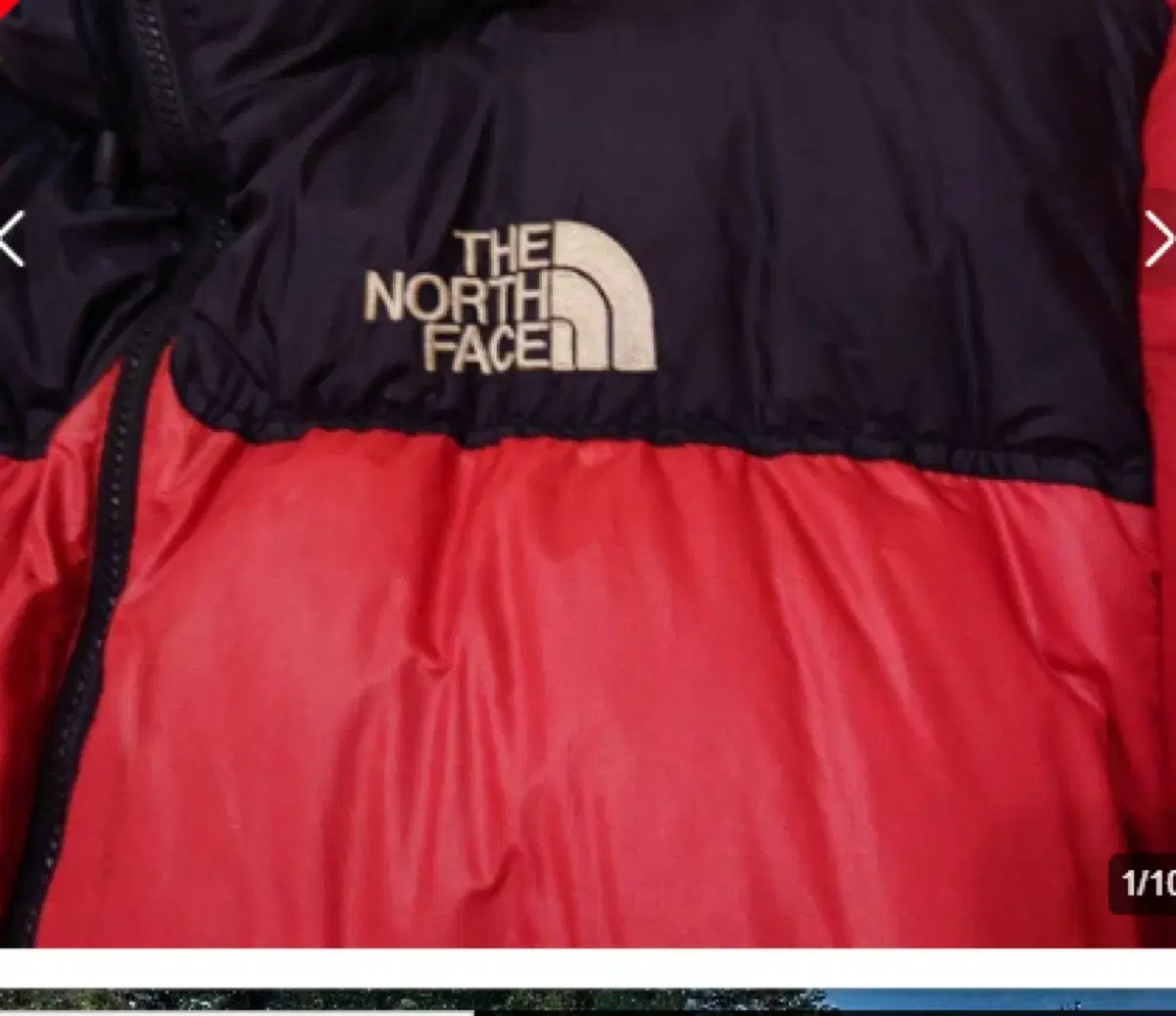 The North Face 700 Gumshoe XXL Center Logo