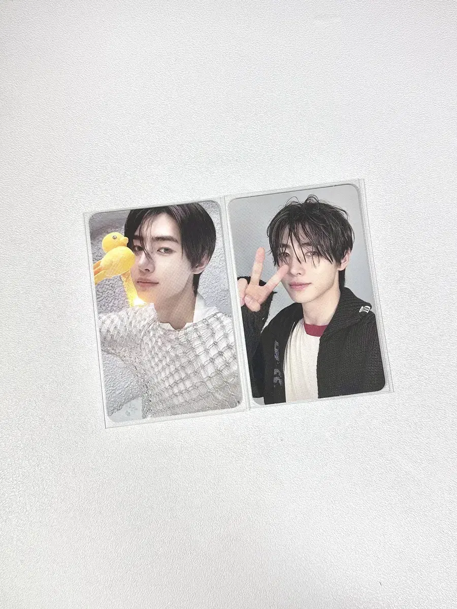 Enhypen romantische romantische vahn vahn weverse sunghoon photocard