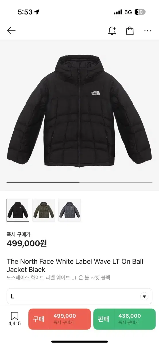 The North Face White Label Wave Lightweight On Ball Jacket Black L Sells