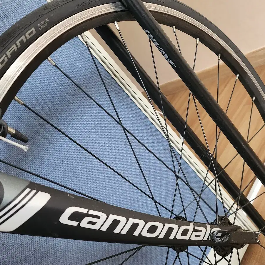 cannondale(캐논데일) ISO 4210 모델 자전거 팔아요