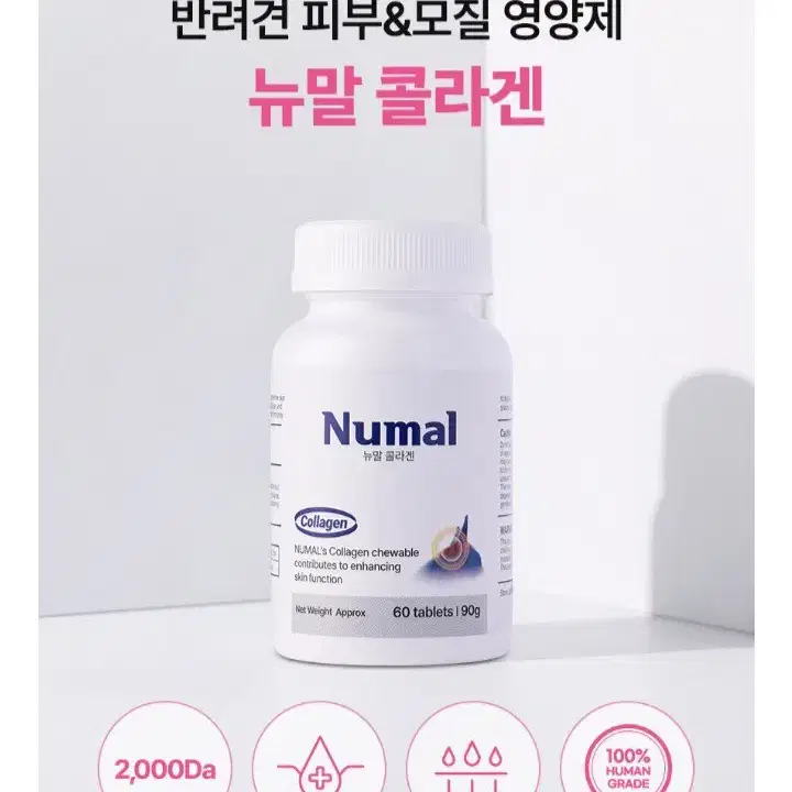 강아지 영양제(피모/관절 영양제)