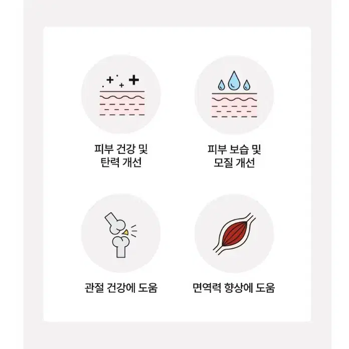 강아지 영양제(피모/관절 영양제)