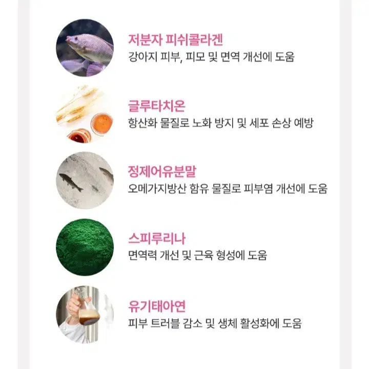 강아지 영양제(피모/관절 영양제)