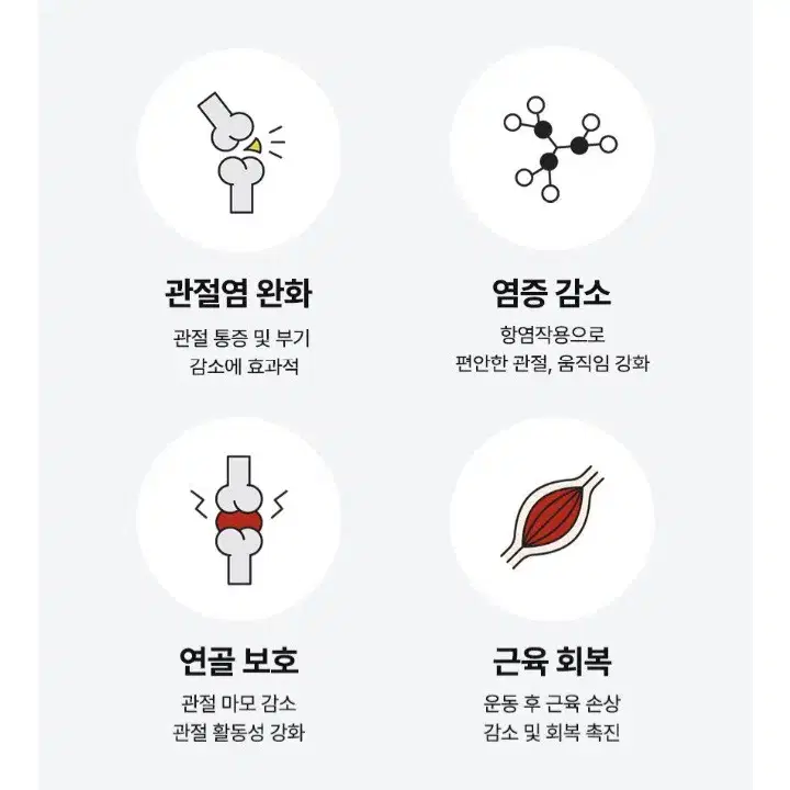 강아지 영양제(피모/관절 영양제)