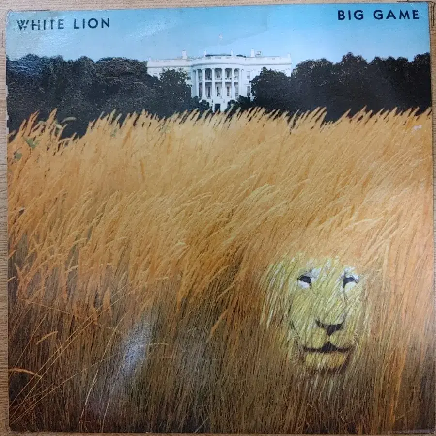 WHITE LION 음반 (LP 턴테이블 오디오 앰프 음향기기