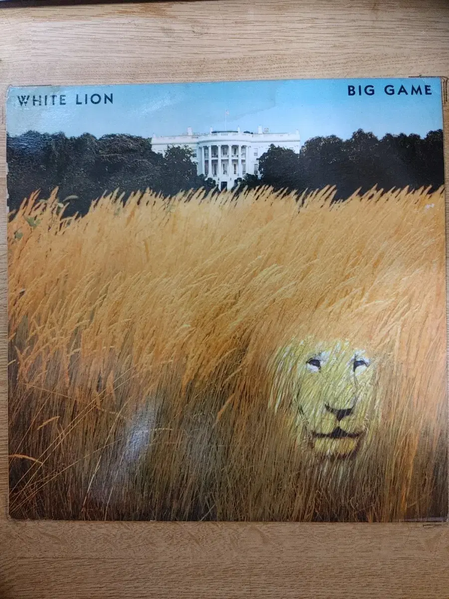 WHITE LION 음반 (LP 턴테이블 오디오 앰프 음향기기