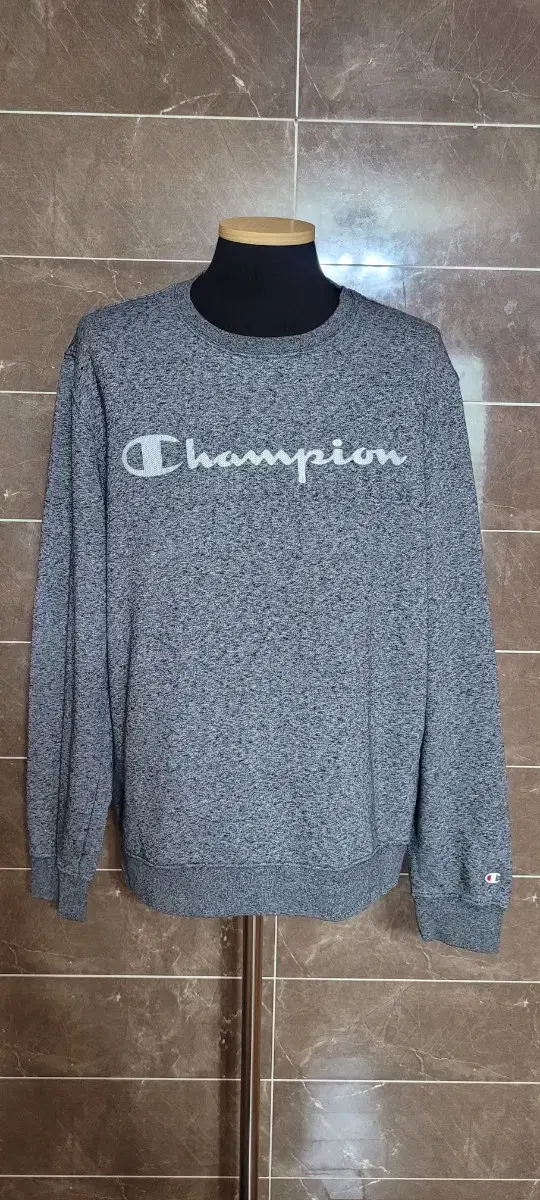 (Men's size 100) Champion Man-to-Man