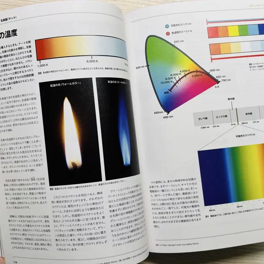 COLOR & LIGHT 일본어 원서