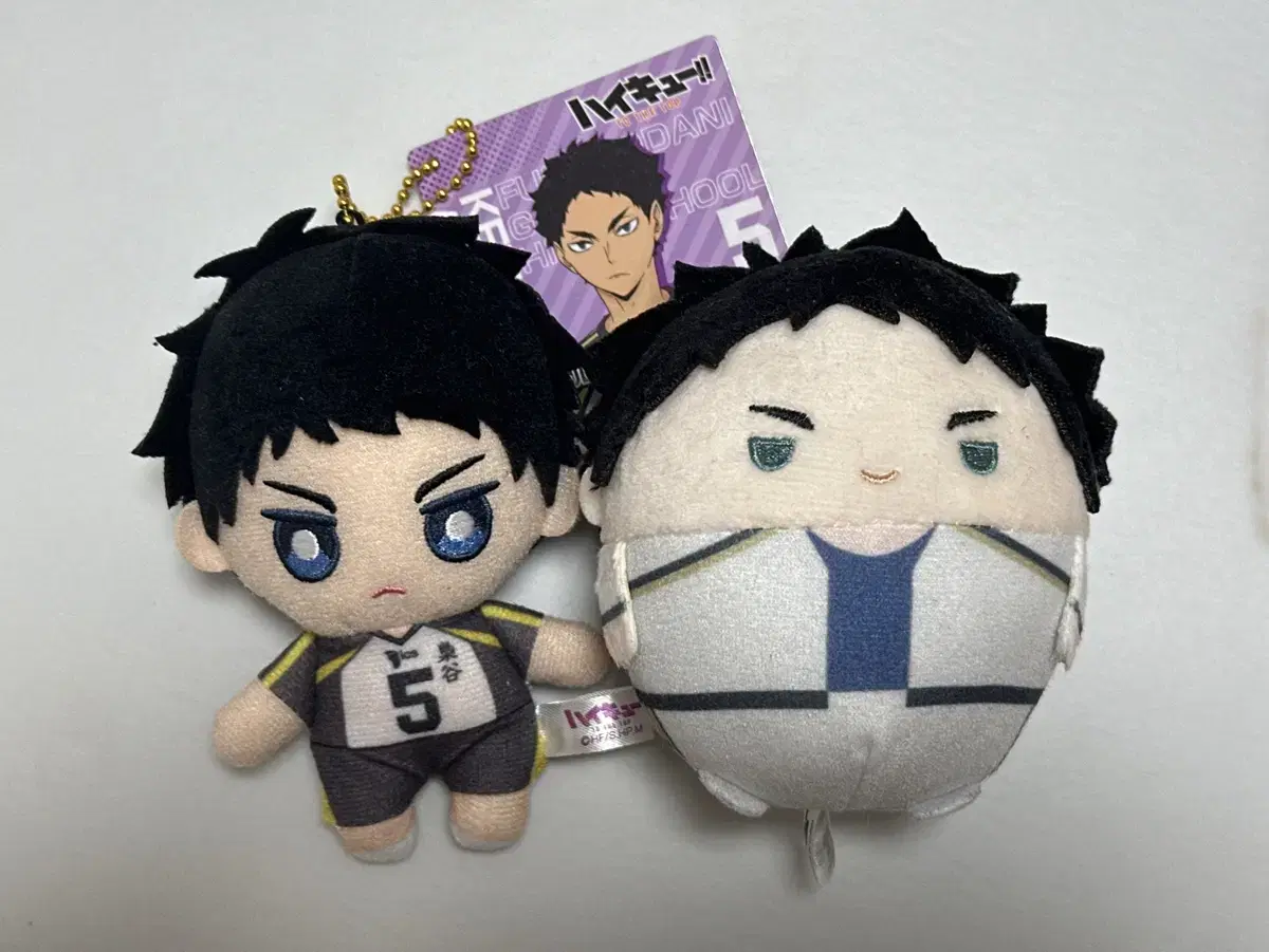 [unsealed] haikyuu nuiigurumi bokuto,akaashi