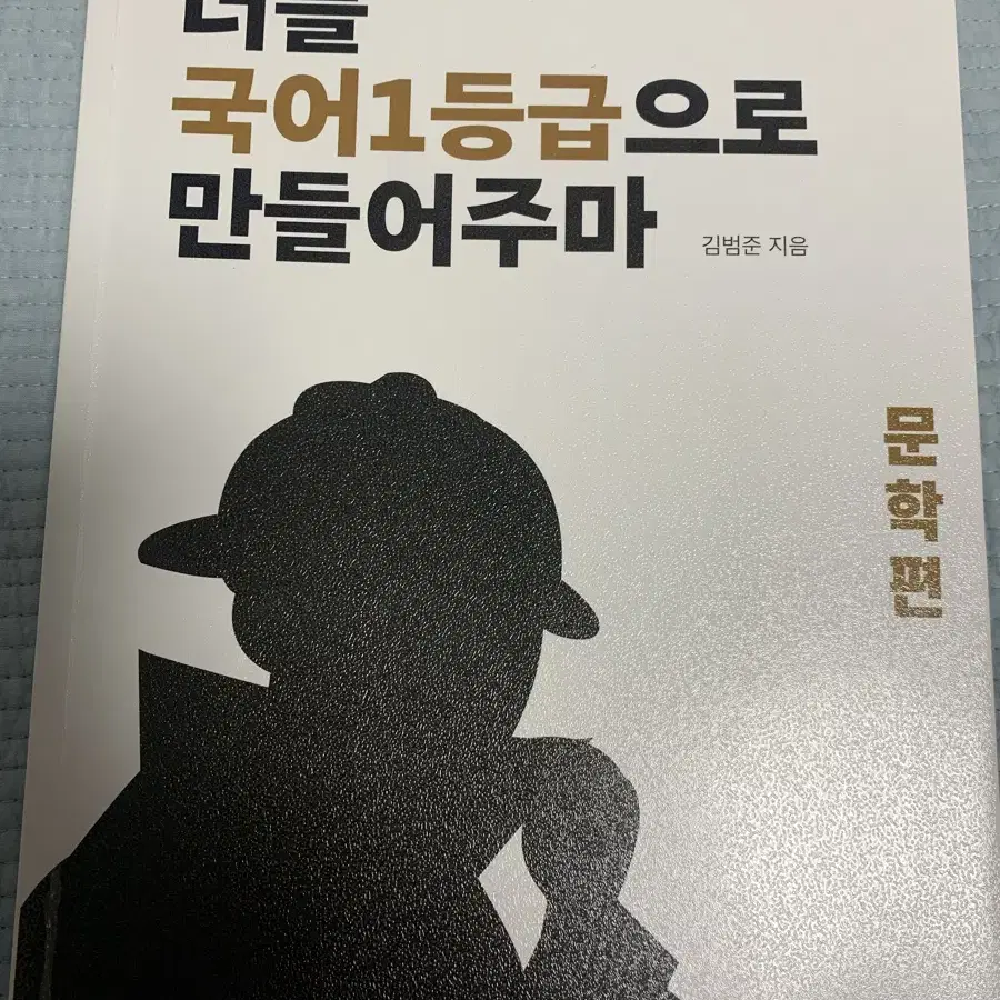 너를 국어 1 등급으로 만들어주마 문학