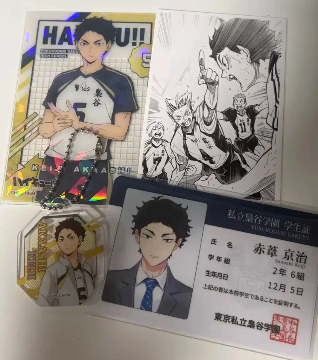 Haikyuu Akaashi keyring Limumu-nim Student ID Chronicle photocard Bulk