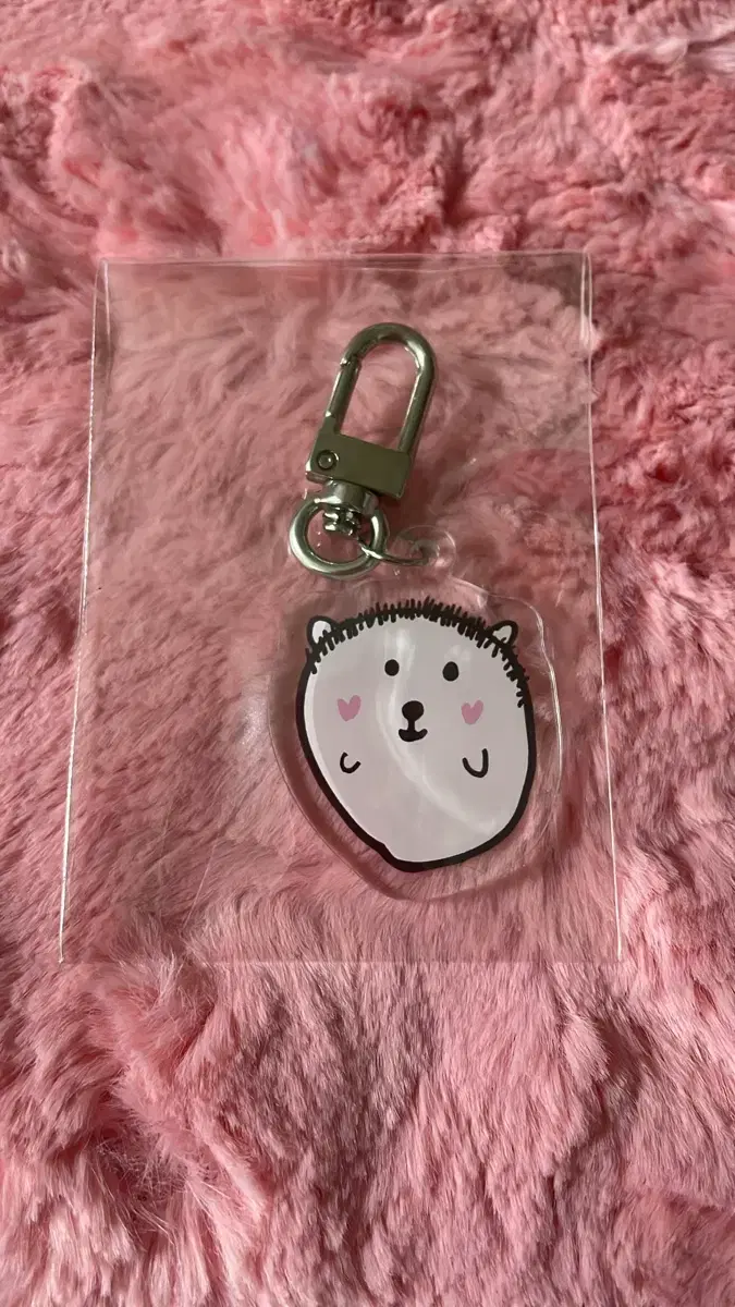 EPEX EPEX pop up ayden Keyring