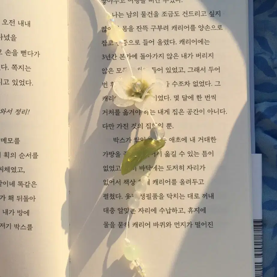 연록 산하엽 양도구해요