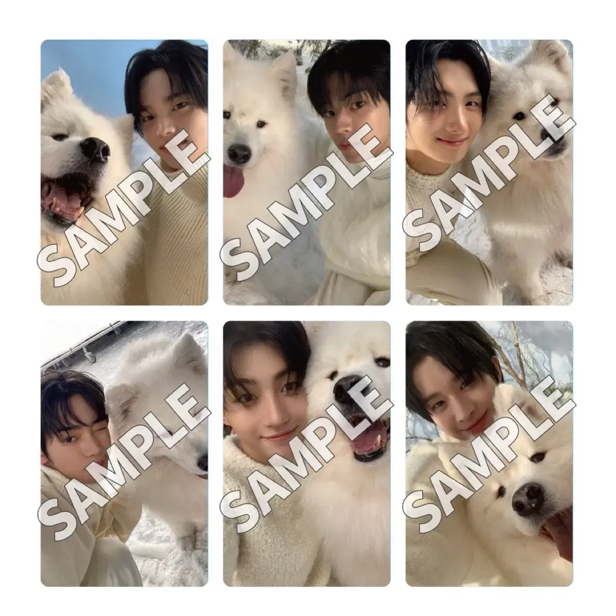 TWS Japan unreleased photocard buncheol Recruitment HMV Universal Weverse Japan 3 companies