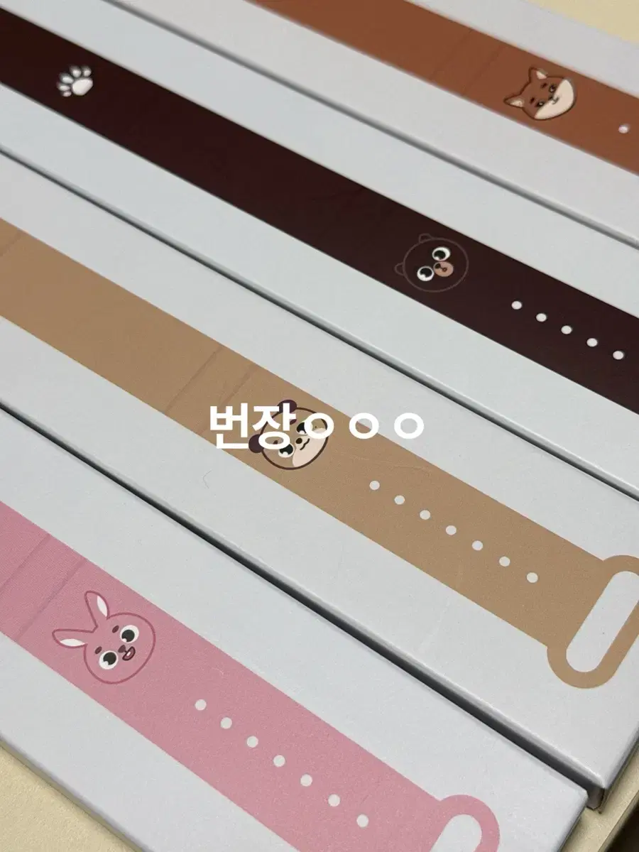 (Half-priced Delivery) Denimals day 6 Strap