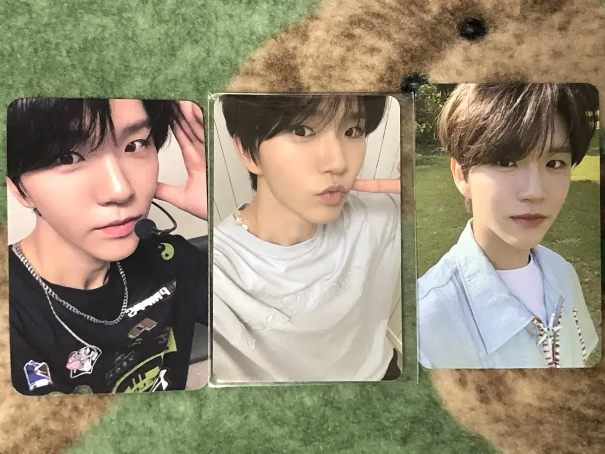 nctwish nctwish Jaehee DaeYoung photocard set