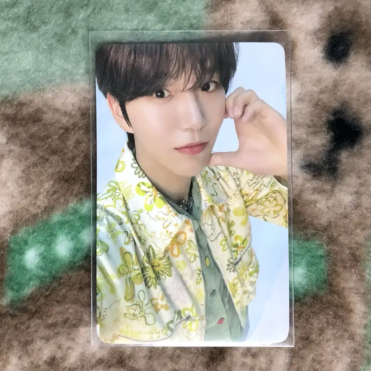 nctwish nctwish iltu japan tour jaehee daeyoung photocard