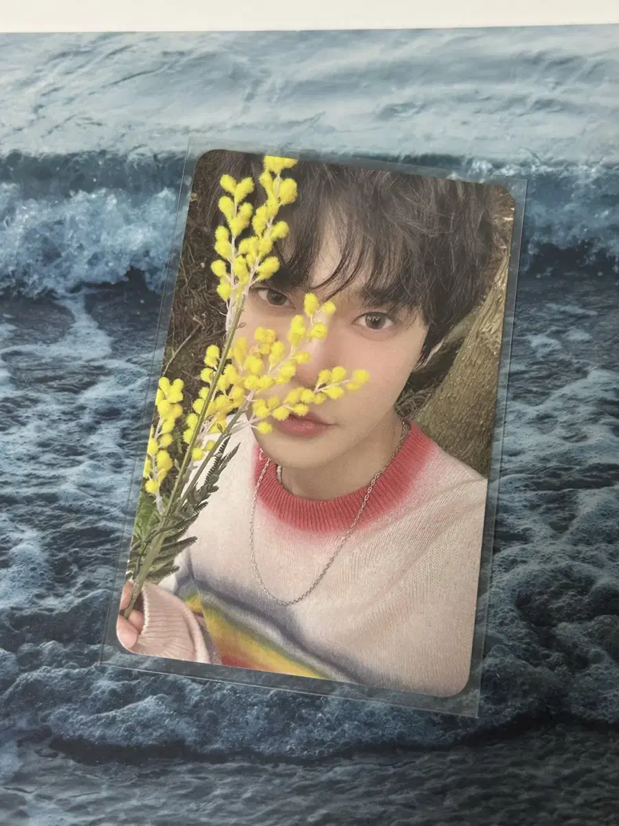 nct 127 doyoung solo album vahn firefly youth pomal pomal version photocard