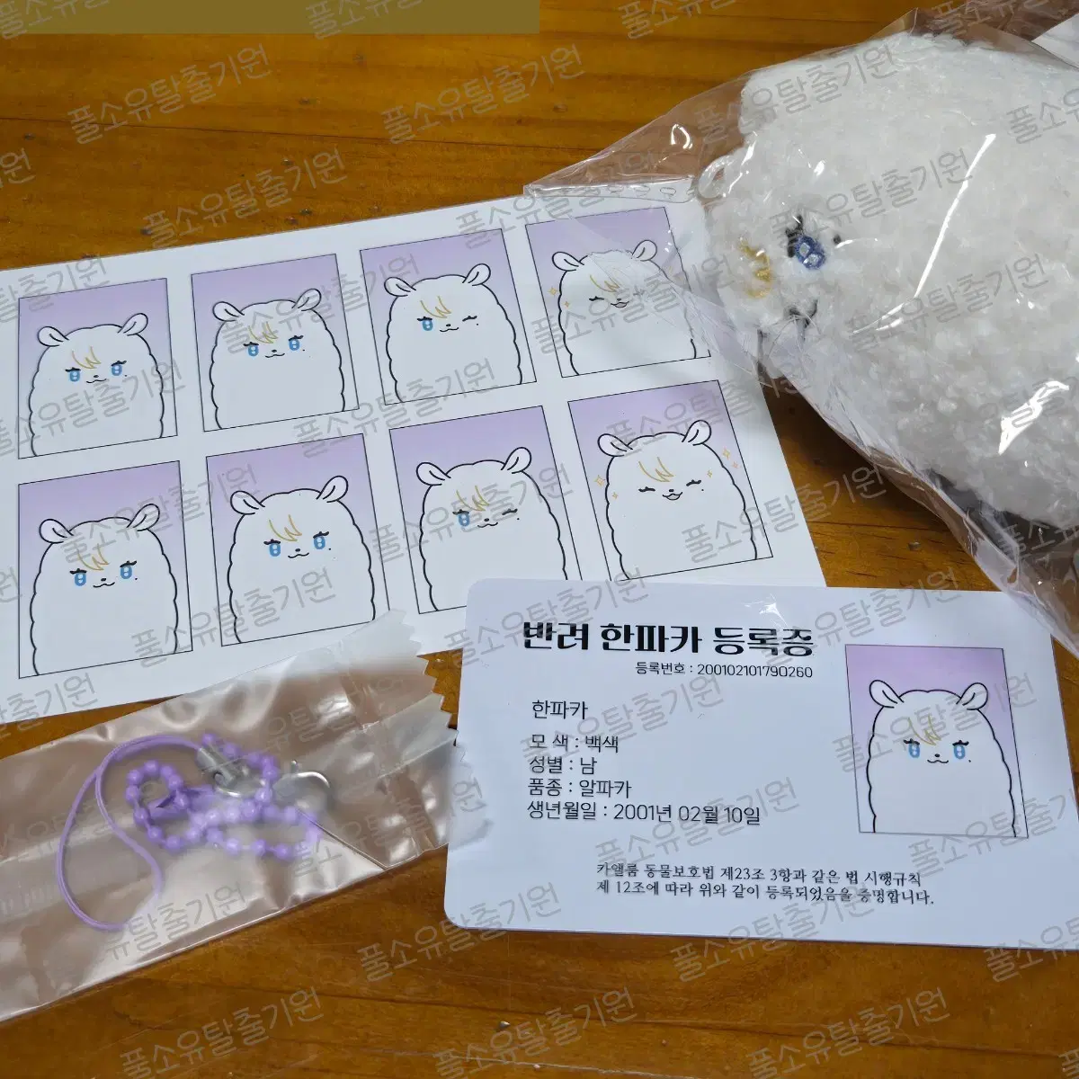 Plave noah property informal doll sell 'hanpaka'