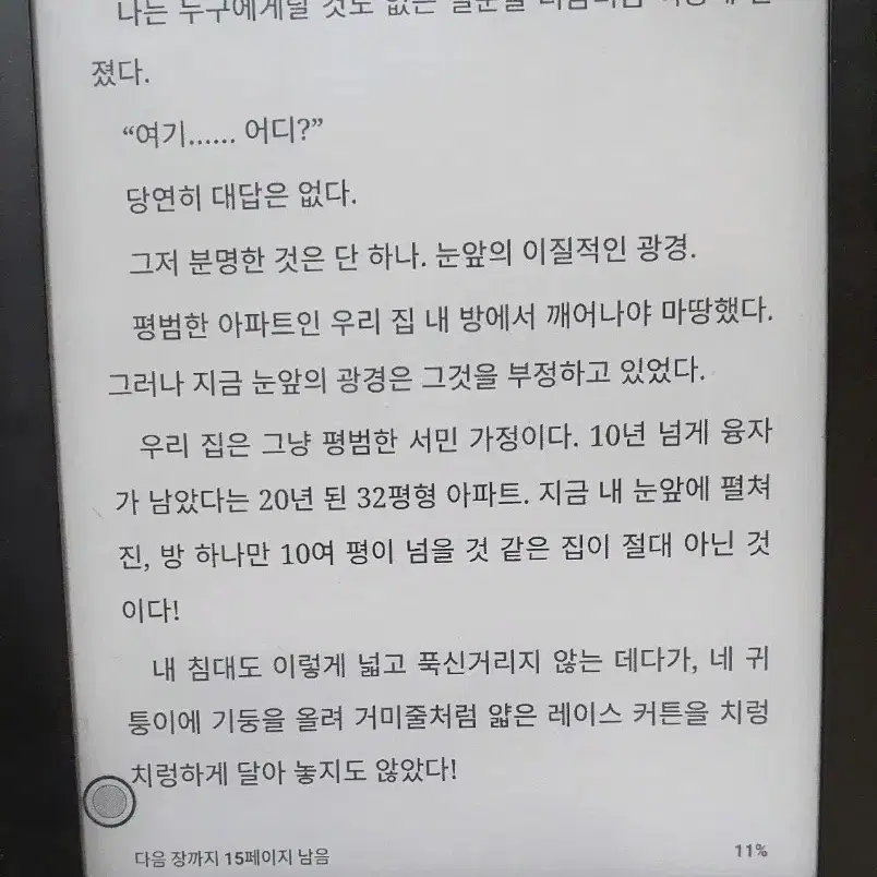 오닉스 포크 프로