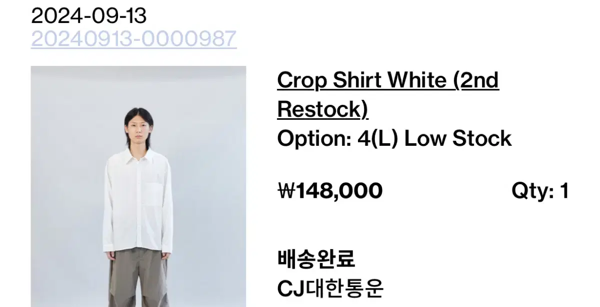 (4) Hatching Room Crop Shirt White