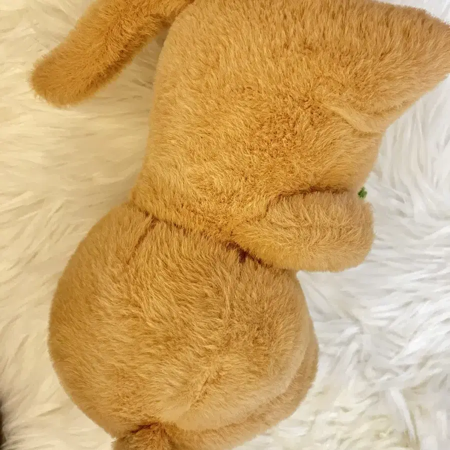 쿼카인형 25cm