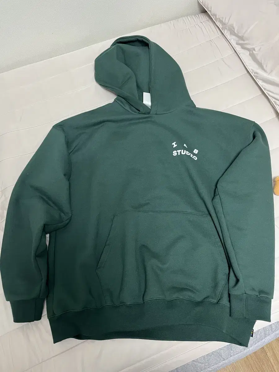 iApp Studio Hoodie Green