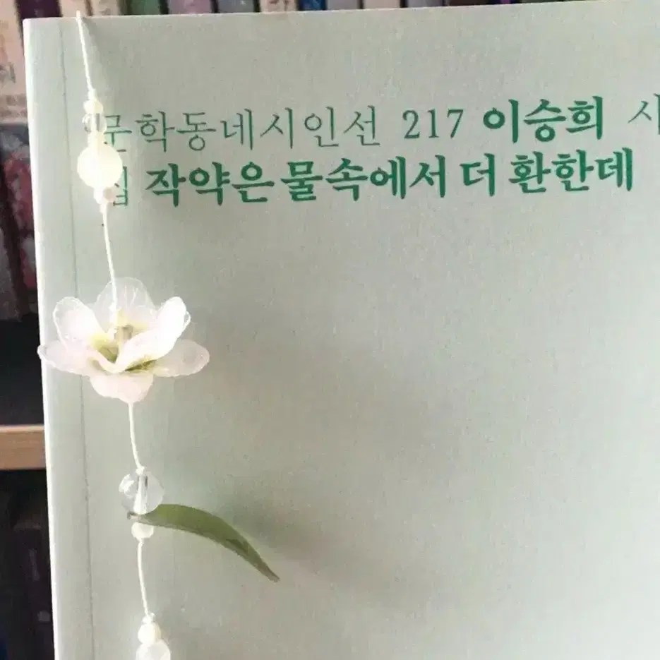 연록 산하엽 수국 끈갈피 구합니다