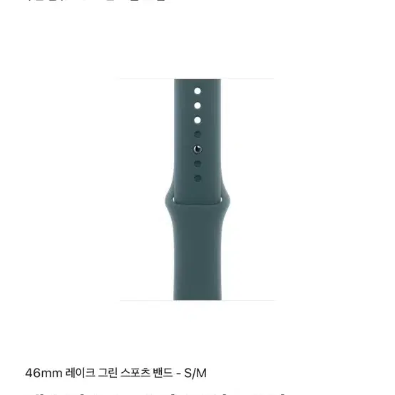 애플워치 스포츠밴드 46mm 레이크그린 S/M 러버스트랩