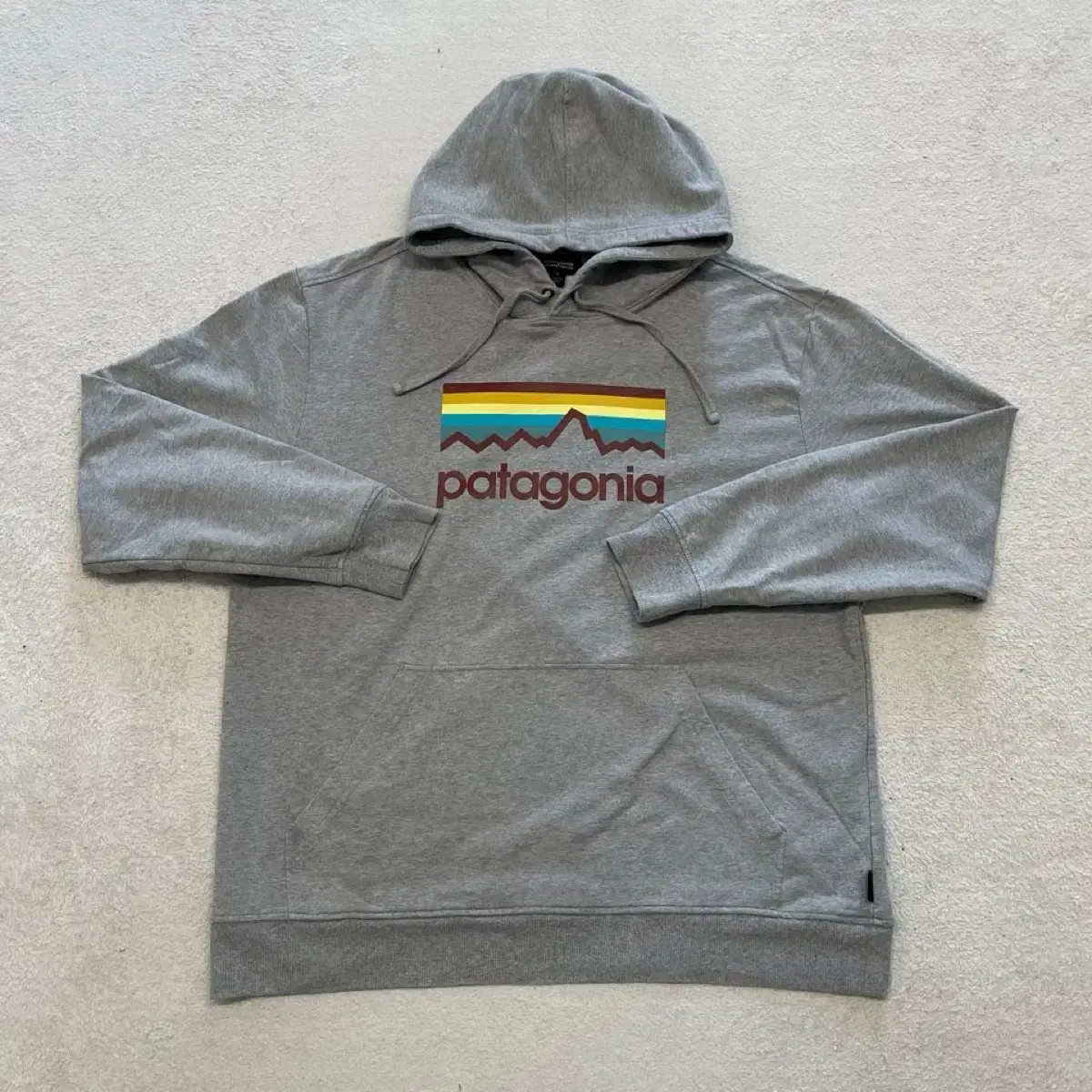 Patagonia Organic Gray Hoodie