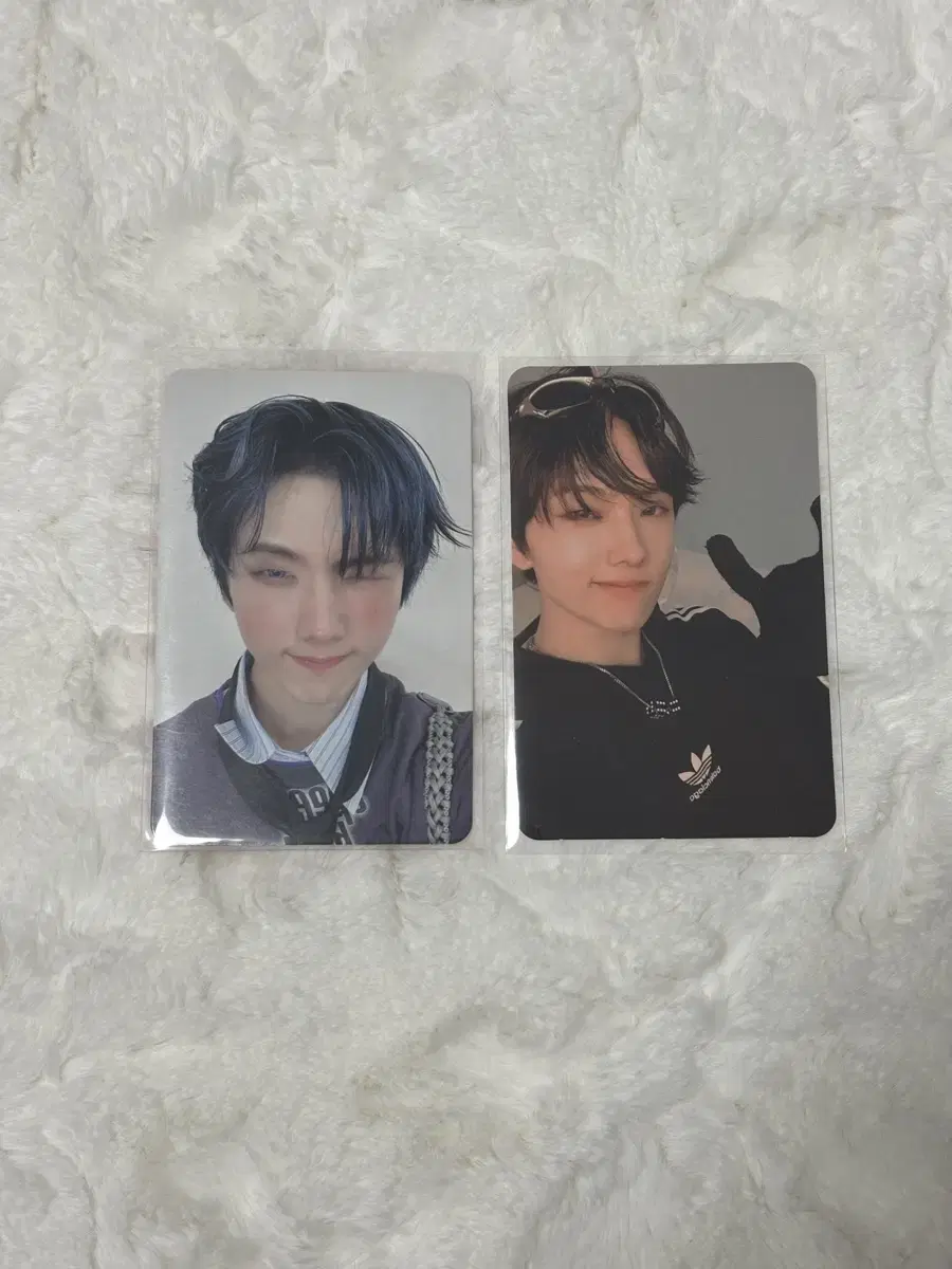 jisung photocard transfers wts