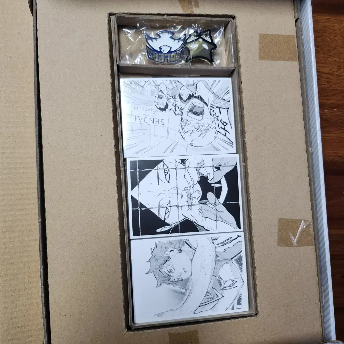 Haikyuu Chronicle Sportiva Unsealed