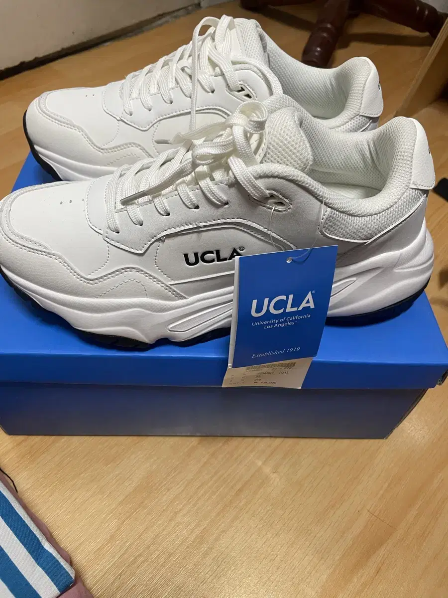 UCLA 운동화