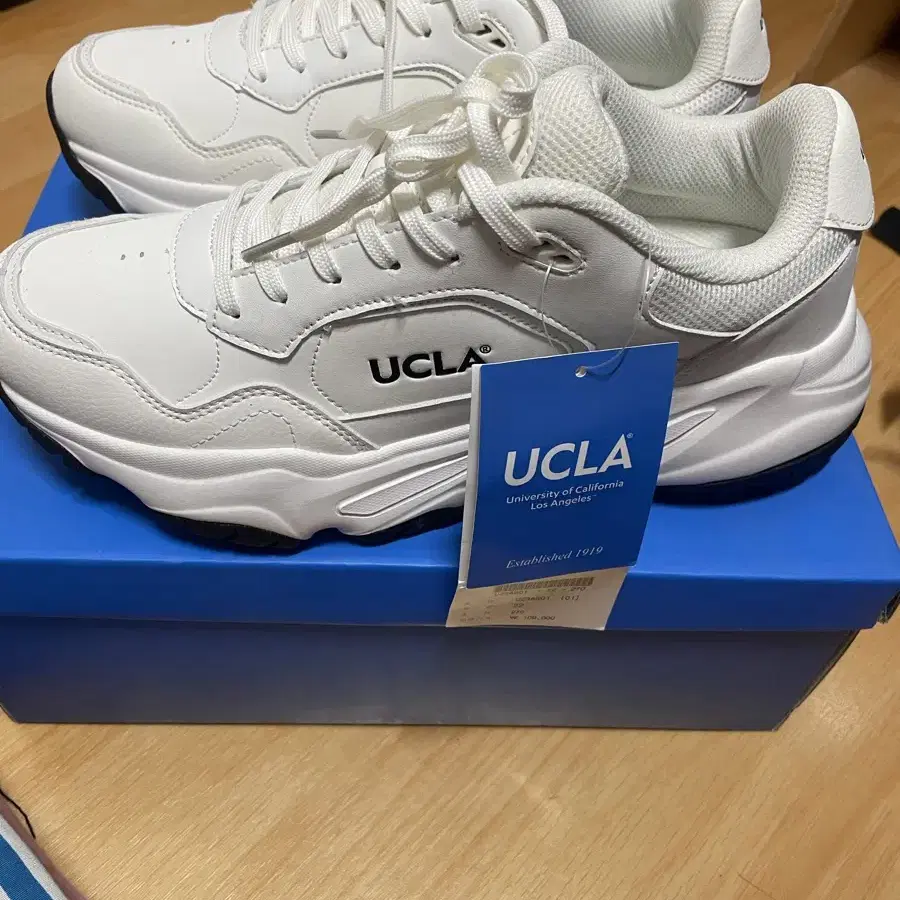 UCLA 운동화