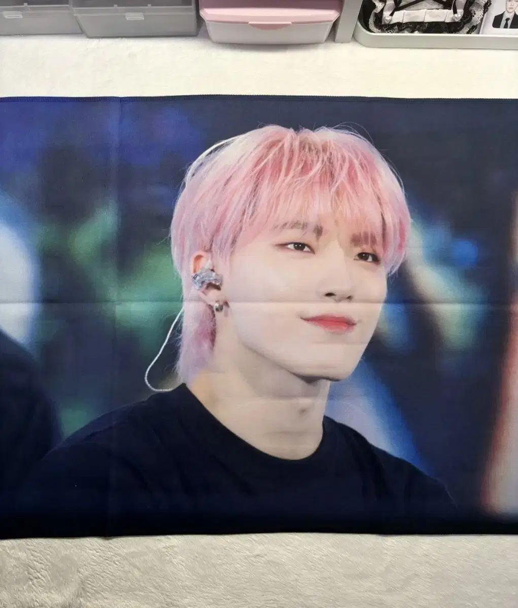 Seventeen dino slogan sell!